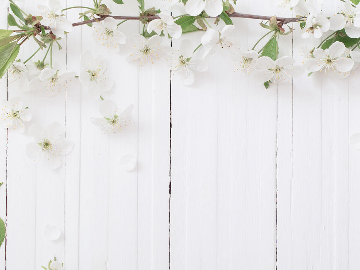 Сторінка не знайдена